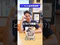 【ねこ】〇〇に入る言葉は何？【アメショ編】