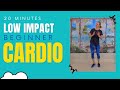 20-min Fun Low Impact, No-Talking Cardio Workout for Seniors and Beginners