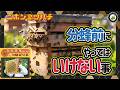 分蜂直前にやってはいけないNG行為！　分蜂を止めてしまう意外な理由とは
