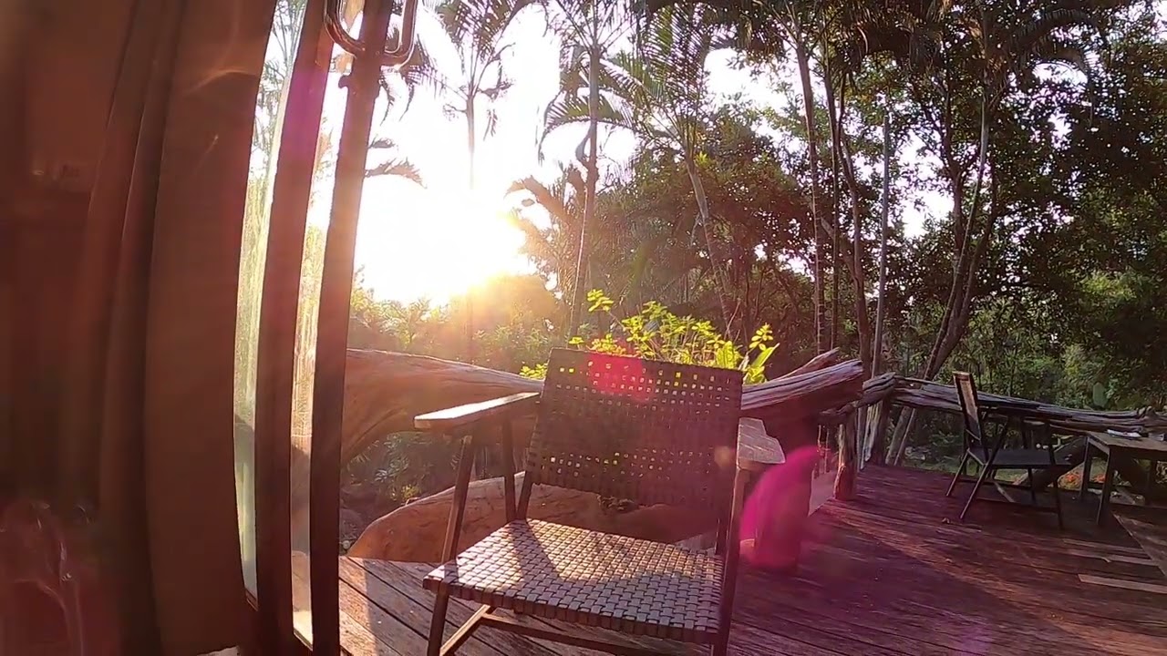 Here Comes The Sun - George Harrison Cover - Sunrise Version - The Forest Sessions - December 2025