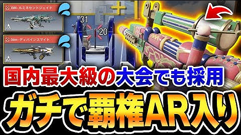 XM4やOdenに続くガチの新覇権ARがコレ！国内最大級の大会でも採用されている‘‘SMGキラーの高速レレレ武器‘‘がヤバイww【CODモバイル】
