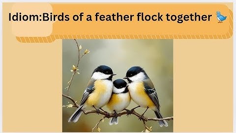 Birds of a feather flock together 