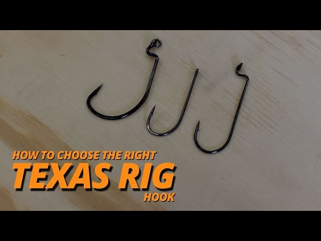 How to Choose the Right Texas Rig Hook 