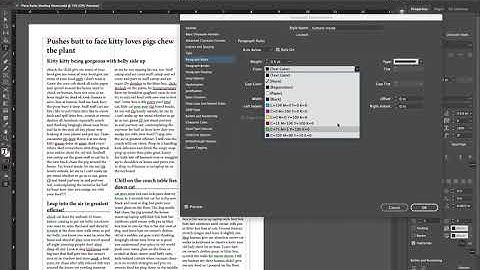 Paragraph Rules in InDesign