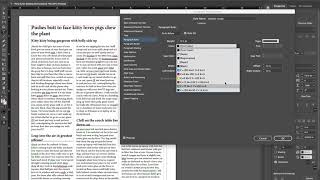 Paragraph Rules in InDesign