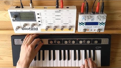 The Waves That Carry Us - An Ambient / Drone Jam (reface CP, Blofeld, Specular Tempus)