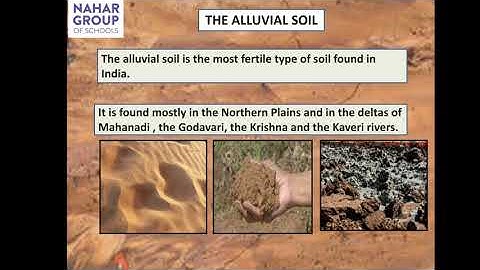 Class 4 | Social studies | Chapter 9 | India - Types of Soils |