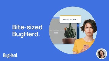 Bite-sized BugHerd: Let clients see other client feedback