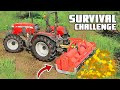 FROM FOREST TO FIELD - Survival Challenge | Episode 17