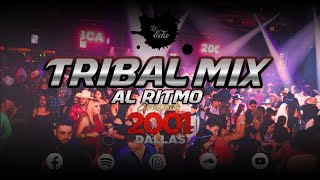 Tribal Mix Al Ritmo de Escapade 2001 (Mix 2023)  Dj Echo