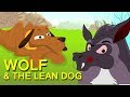 Short stories for kids  the wolf and the lean dog  english stories for children  by anon kids