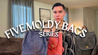 Restoring Five Moldy Vintage Coach Bags (Compilation)