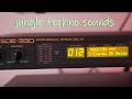 Using Roland SRV + SDE-330 on jungle techno sounds, Reverb and delay.