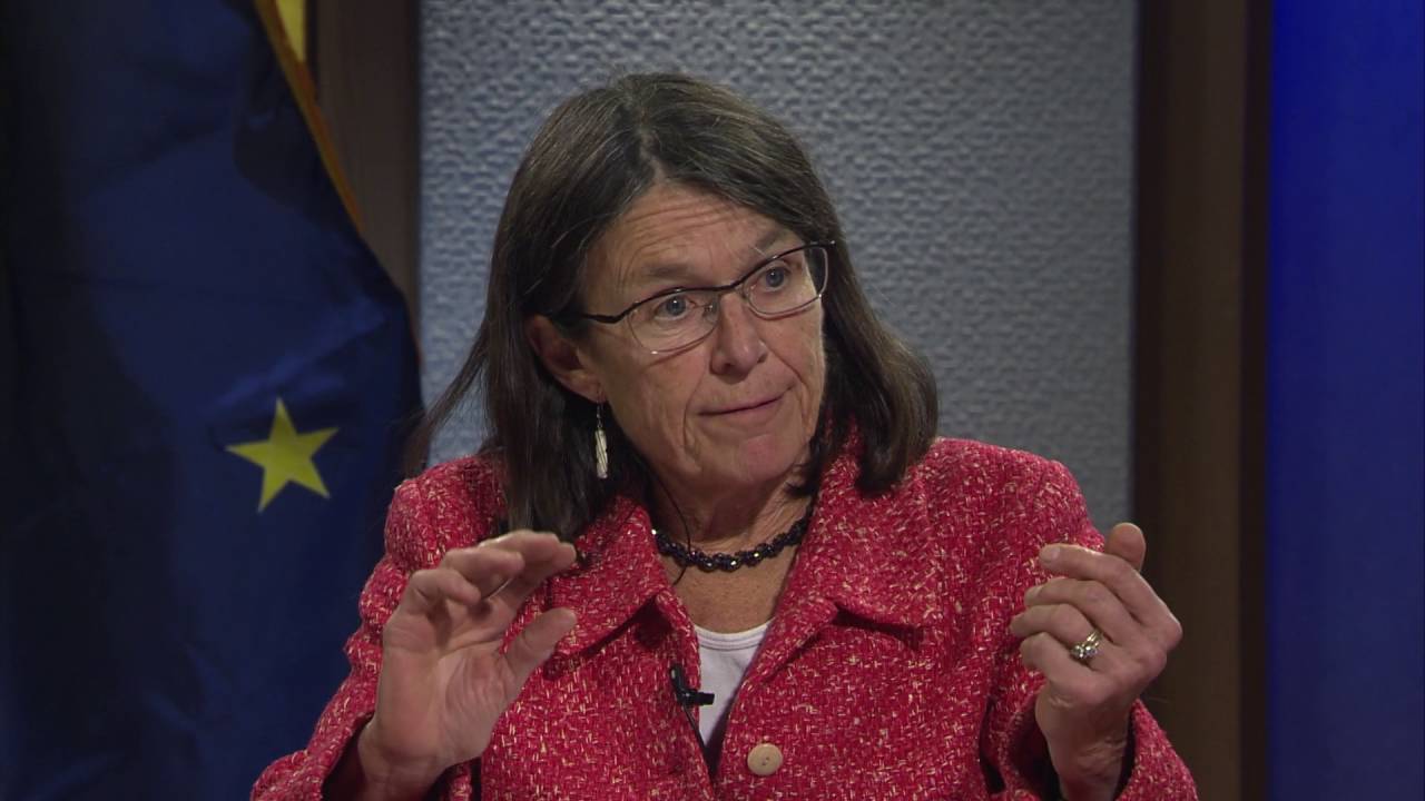 RUNNING 2016 Alaska General Election House District 28 YouTube