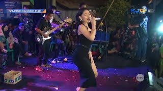 VITA ALVIA - JANGAN NGET-NGETAN CALISTA live Ajung, Jember GENDING KANGGO RIKO