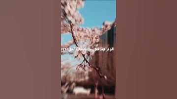 القاري الشيخ سعد الغامدي سورة الْفِيلِ