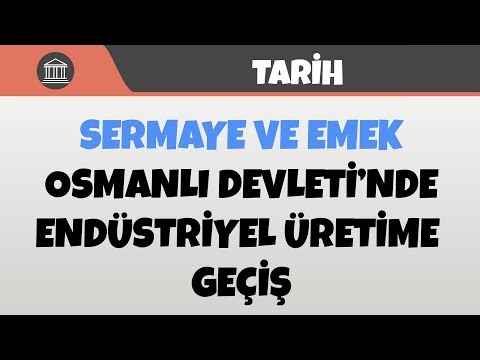 Video: Sermaye-emek Oranı Nasıl Bulunur