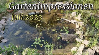 Gartenimpressionen Juli 2023