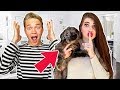 We ADOPTED a PUPPY!!! Big Family Surprise!