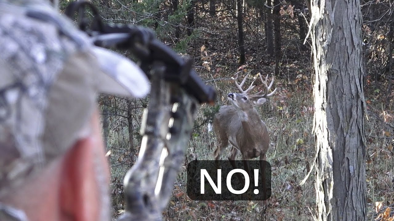 Iowa Deer Hunting White Oaks Lodge Iowa YouTube