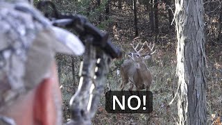 Iowa Deer Hunting   White Oaks Lodge Iowa