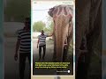 Help My Father Ranjit Singh Recover After Heart Surgery and Dialysis