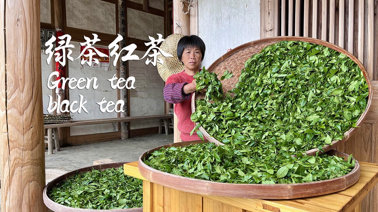 Бабушка заваривает зеленый и черный чай старинным способом, свежим и элегантным.