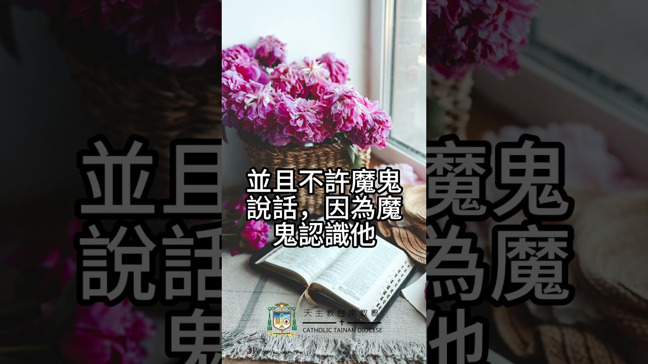 01/14   恭讀聖馬爾谷福音　1:29-39   耶穌治好了許多患各種病症的人。