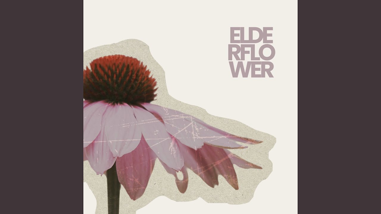 Watch Elderflower on YouTube Watch Elderflower on YouTube