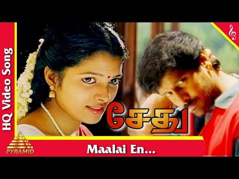 Maalai En Vedhanai  Sethu Movie Songs       Vikram  Unnikrishnan Hits