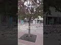 Video shows aftermath of building collapse in downtown Shawnee