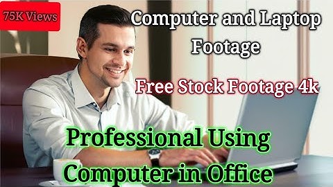 Man Using Laptop .Professional Using Computer in Office | 4K Free Stock Footage | Royalty Free Video