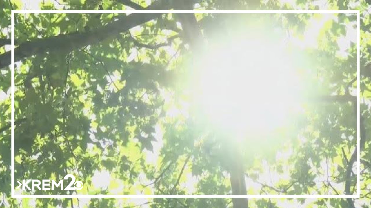 Eastern half of US sweltering again, with dangerous heat wave expected ...
