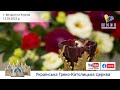 Вечірня та Утреня | Патріарший собор УГКЦ, 12.03.2022