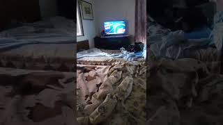 Tgcom24 Le News Sempre Con Te