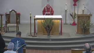 Palm Sunday of the Lord's Passion
