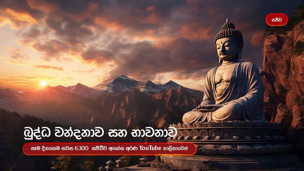 බුද්ධ වන්දනාව 2026 02 10  #බේරුවල_රාහුල #අශෝක_අරණ #කුටියේ_පිංකම් Thero අශෝක අරණ