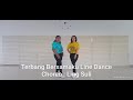 Terbang Bersamaku Line Dance Choreo By Ling Suli (INA)