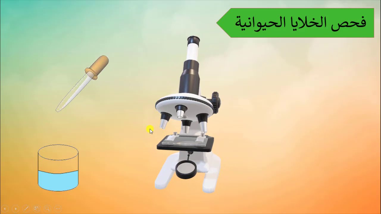 الخلية الحيوانية | علوم | الصف السابع