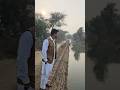 Desi😎!! #desi #song #punjabisong #viralshort #shortsfeed #shorts #youtubeshorts #shortsviral #short