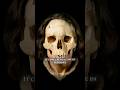 40,000-Year-Old Hybrid Skull Reconstruction...
