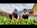 Harvest lemons in four seasons with my sister my daily life