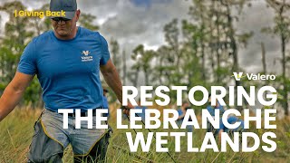 Pontchartrain Conservancy - Valero St. Charles Refinery | Restoring Wetlands, One Tree at a Time