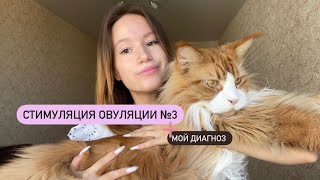 СТИМУЛЯЦИЯ ОВУЛЯЦИИ №3 | СПКЯ, Овитрель, Эстрожель, Прогестерон