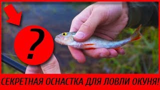 Самая Уловистая Оснастка Для Ловли Окуня 2019