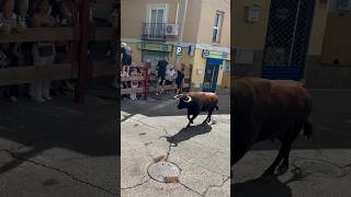 💥 Encierro en Daganzo de Arriba (Madrid) 🎥 @davidbustos___