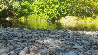 Stone Skipping Ambience | Spring River Bank Sounds