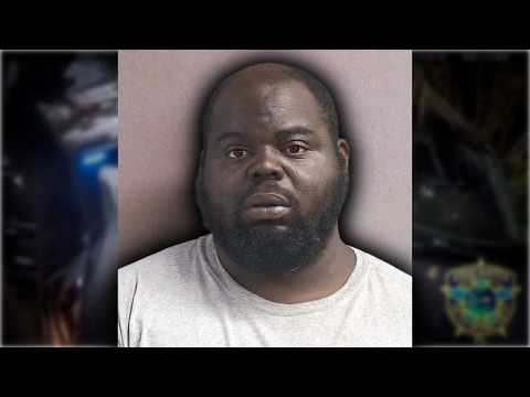 VIDEO: Police stop fleeing Central Florida burglary suspect after pursuit