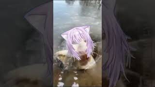 Download Lagu MOGU MOGU OKAYU~~ #hololivememes #hololive #holomemes MP3 Download Lagu MOGU MOGU OKAYU~~ #hololivememes #hololive #holomemes MP3