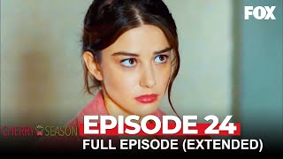 Cherry Season Episode 24 (Extended Version)